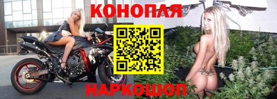 стаф Кулебаки