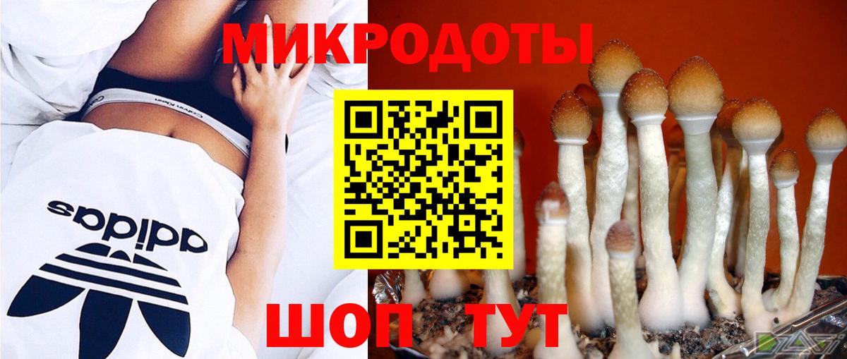 Алейск  Псилоцибиновые грибы ЛСД  Вход с VPN  Псилоцибиновые грибы GOLDEN TEACHER 