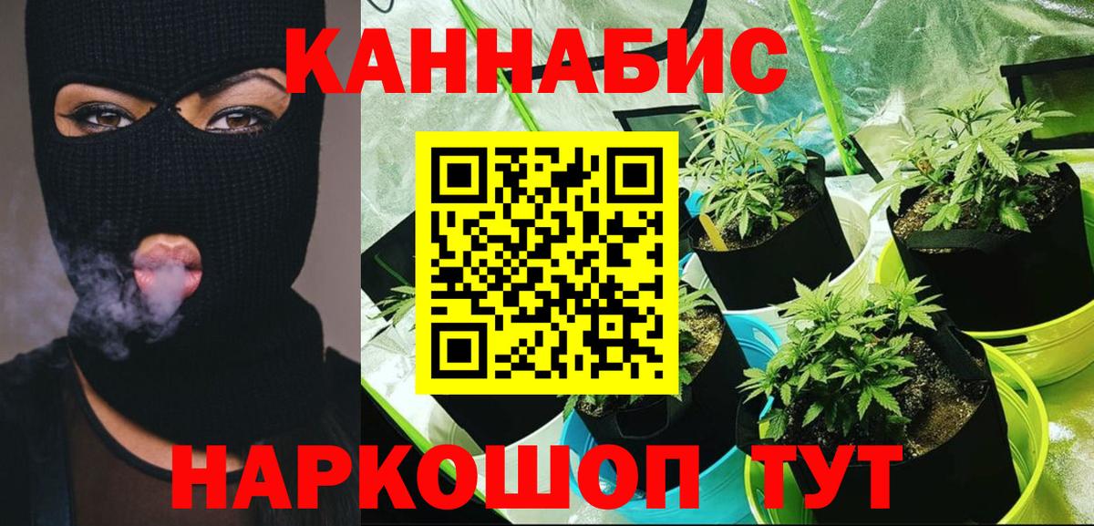Конопля план Алейск